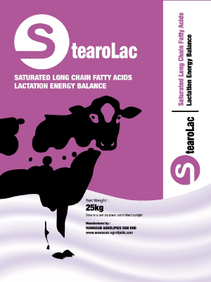 STEAROLAC
