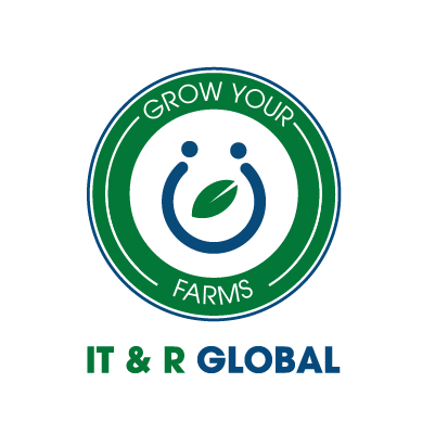 IT & R Global