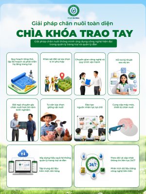 GIẢI PHÁP CHÌA KHÓA TRAO TAY